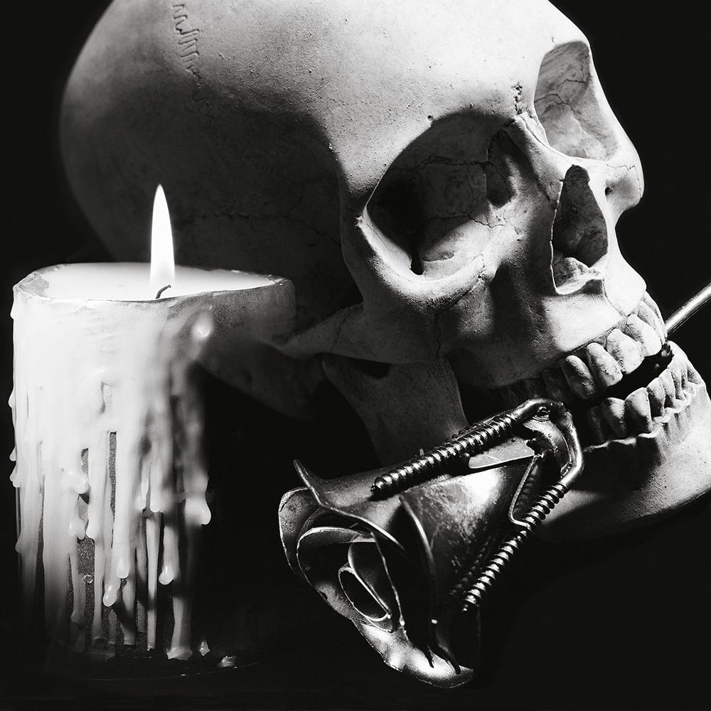 VANITY SKULL | MAY 2017